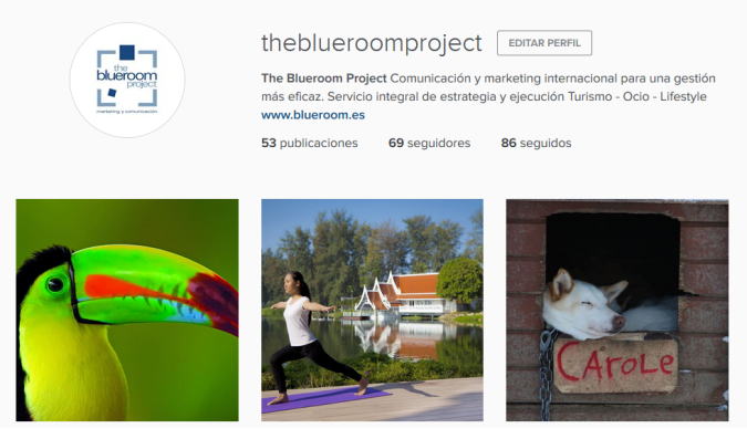 INSTA BLUEROOM